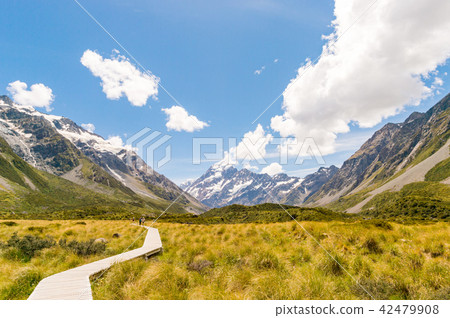 在庫克山國家公園的妓女谷卡車 在庫克山國家公園的妓女谷卡車 42479908