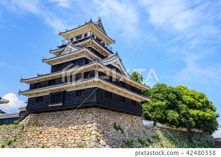 Nakatsu城堡夏天 Nakatsu城堡夏天 42480338