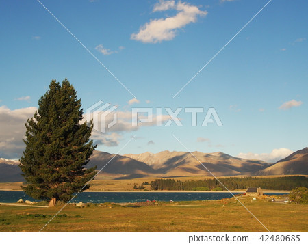 Lake Tekapo evening landscape New Zealand 42480685