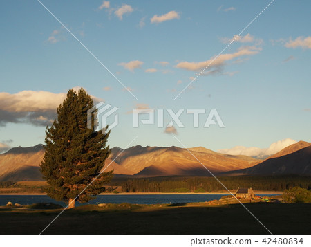Lake Tekapo evening landscape New Zealand Lake Tekapo evening landscape New Zealand 42480834