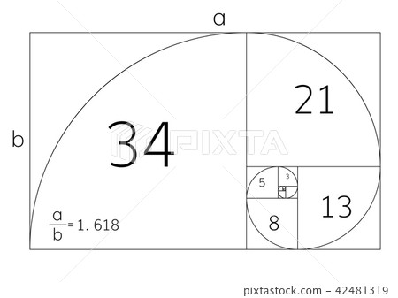 Golden ration section proportions  42481319