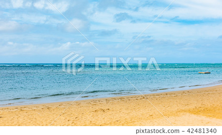 Palm trees and white sand beach scenery of Kahala Beach, Hawaii 42481340