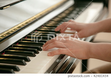 Pianist lady Pianist lady 42481434