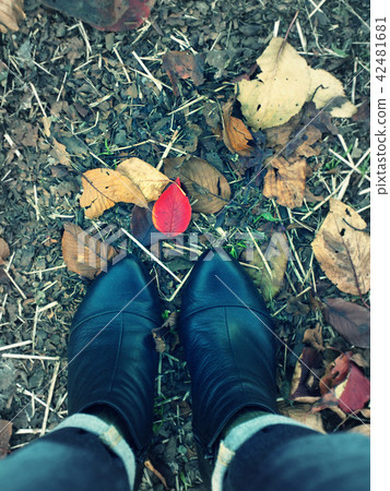Boots and red fallen leaves 42481681