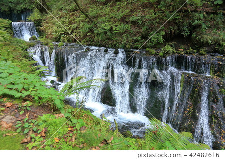 A mountain stream of the promenade of Shiraito Falls in Karuizawa Town, Nagano Prefecture A mountain stream of the promenade of Shiraito Falls in Karuizawa Town, Nagano Prefecture 42482616