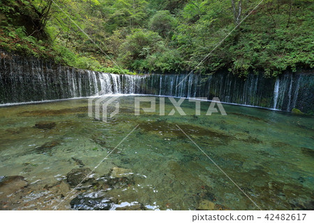 Shiraito瀑佈在長野縣輕井澤鎮 Shiraito瀑佈在長野縣輕井澤鎮 42482617