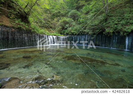 Shiraito Falls in Karuizawa Town, Nagano Prefecture Shiraito Falls in Karuizawa Town, Nagano Prefecture 42482618