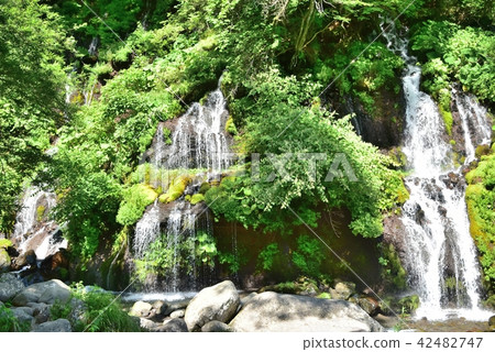 山梨縣北斗市的Higurashi瀑布 42482747