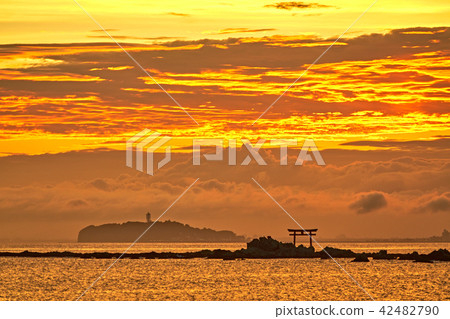 江之島和Nashima的合作(晚景) 江之島和Nashima的合作(晚景) 42482790