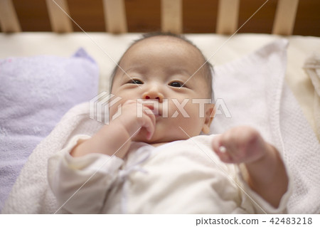 嬰兒在床上 嬰兒在床上 42483218