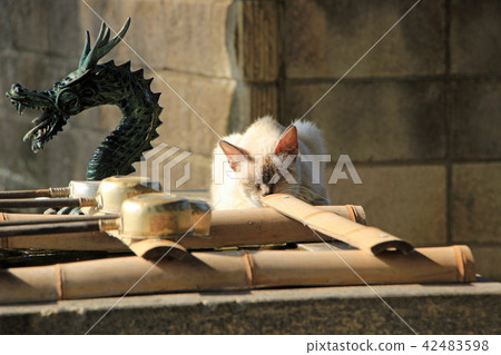 Nogi Shrine Nogi Shrine 42483598