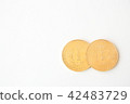 Bit coin 42483729