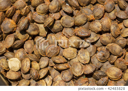 The background of apricot pits The background of apricot pits 42483828
