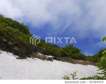 Southern Alps Senjogadake mountain climbing 42484419