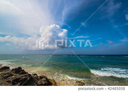 Okinoerabujima海岸Saigo驢位置的絕景 42485038