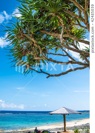 Okinoerabujima Kasaishi Beach 42485039