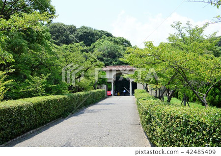 神戶學院 神戶學院 42485409