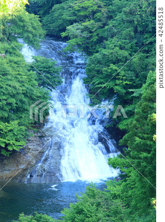 Yorokuri山谷的水月寺 Yorokuri山谷的水月寺 42485518