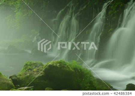 Motoyuki underwater water 42486384