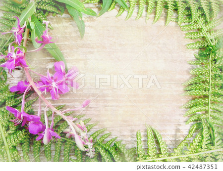 Floral background with wild flowers and herbs. 42487351