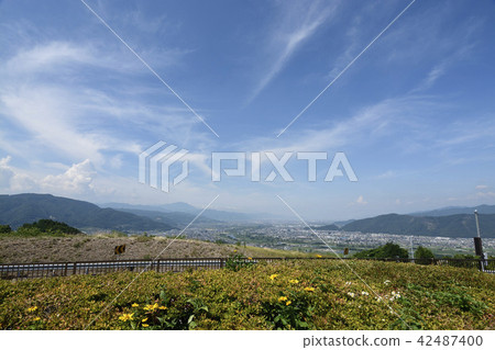 Discard service area 42487400