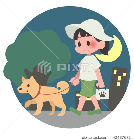 Pet dog walking woman night 42487671