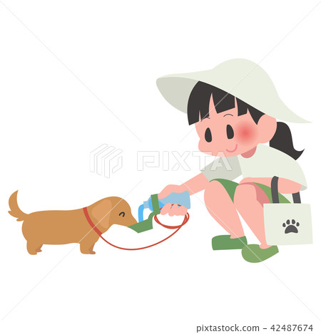 Dog pet walking hydration woman Dog pet walking hydration woman 42487674