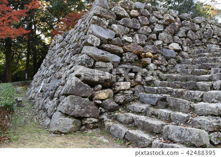 濱松市二馬城堡遺址 濱松市二馬城堡遺址 42488395