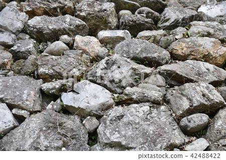 濱松市二馬城堡遺址 42488422