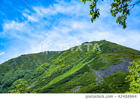 Summer mountain climbing image 42488664