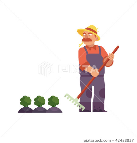 Farmer in straw hat with rake cares for cabbage or broccoli. 42488837