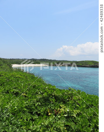 Sky and sea 42489338