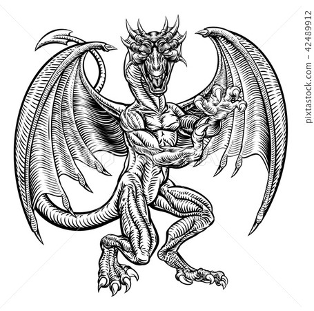 Dragon Drawing in Vintage Woodcut Style Dragon Drawing in Vintage Woodcut Style 42489912