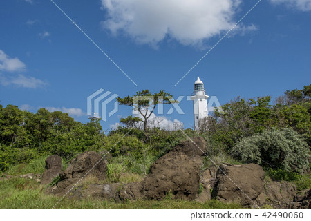 Chiba Prefecture Minami Boso Shirahama Town Nojimasaki Lighthouse 42490060