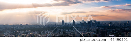 Tokyo landscape 42490391