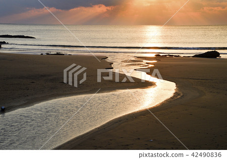 Dawn of the estuary 42490836
