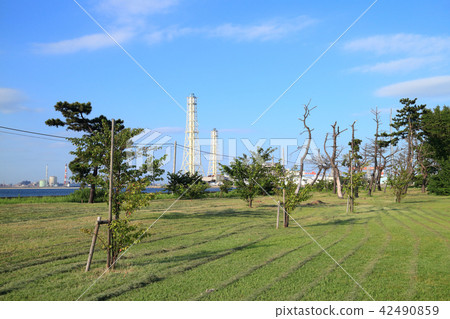 Yorokawa Rinkai Park（市原市） 42490859