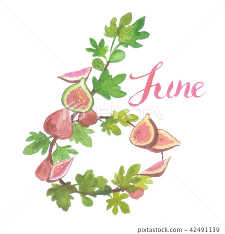 Flower Letters 6 with Letters 42491139