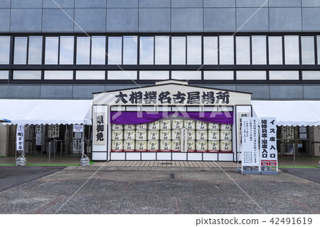 相撲摔跤名古屋的地方 42491619