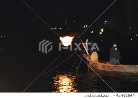 [Gifu Prefecture] Nagara Cormorant 42491644