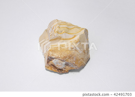 Diatomaceous earth 42491703