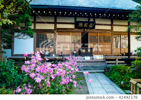 Kamakura Shrine Main Hall Kamakura Shrine Main Hall 42492176