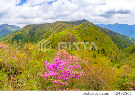 從山上眺望Hanezuru山。 （愛媛縣新居濱市四國中央市）*評論框中的拍攝位置 42492505