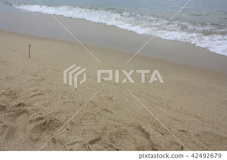 Beach Beach 42492679