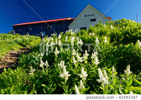 北阿爾卑斯山·種子池塘和村莊社區 42493387
