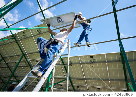 Two workers mounting solar batteries on metallic construction. 42493909