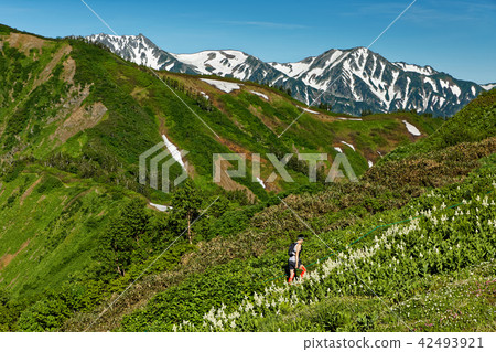 Kobaisaido社區和Tateyama山脈在北阿爾卑斯山附近·Seedu Sanso Kobaisaido社區和Tateyama山脈在北阿爾卑斯山附近·Seedu Sanso 42493921