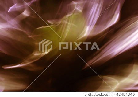 Decorative Plant Abstract Decorative Plant Abstract 42494349