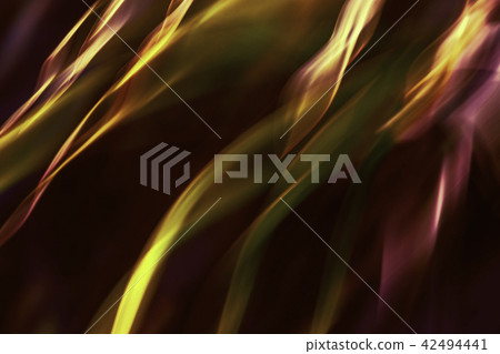 Umbrella Plant Abstract Umbrella Plant Abstract 42494441