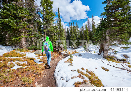 Tourist with backpack hiking on snowy trail Tourist with backpack hiking on snowy trail 42495344